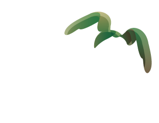 Historical Flight Event